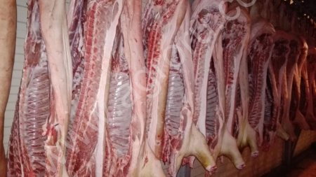 Свинина 1-2 кат п/т охлажденная 40+