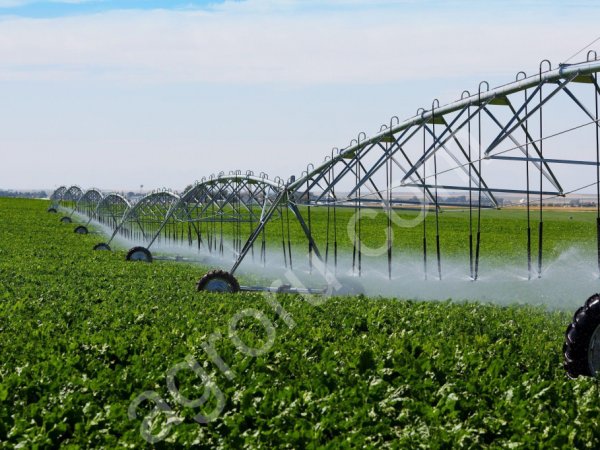 Шины для сельхозтехники.