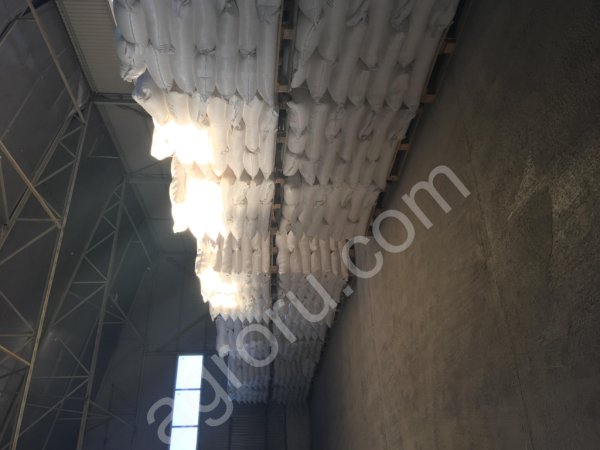 Мука пшеничная от производителя