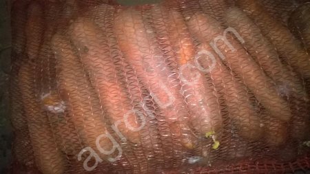 Морковь оптом