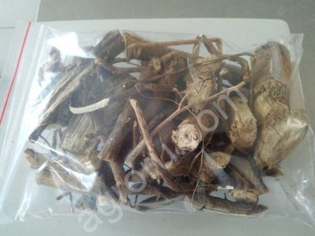 Корень Элеутерокока