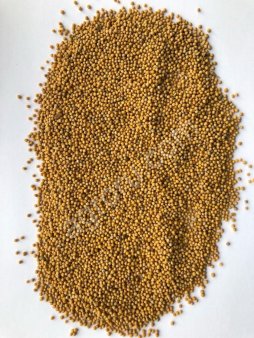 Горчица на экспорт