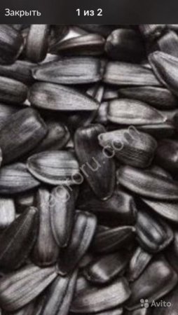 СПК 38+ в мешках