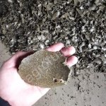 Жмых рапсовый от 36% от производителя