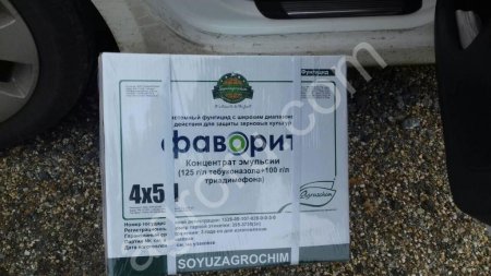 фаворит