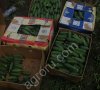 Огурцы сорта Анзор