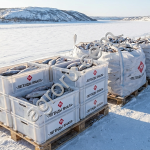 Оптовые поставки свежемороженого язя от ООО Салехардский комбинат (Ямальская рыба)