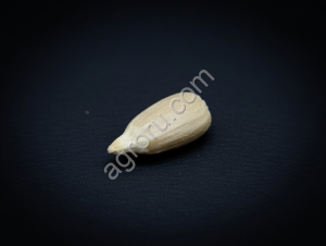 Ядро подсолнечника оптом Алтайский край