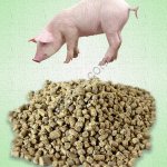 Комбикорм для свиней гранулированный
