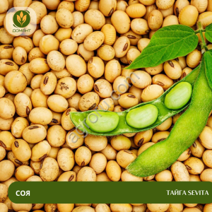 Семена сои Тайга SEVITA