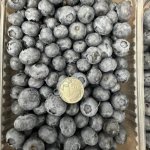 Голубика свежая от производителя