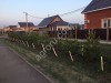 Дмитрий Владимирович Цыбульский