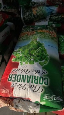 Семена Кинзы сорт Green Belly