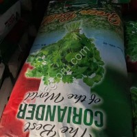 Семена Кинзы сорт Green Belly
