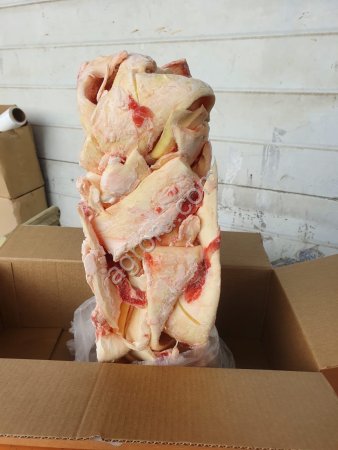 Жилка мягкая