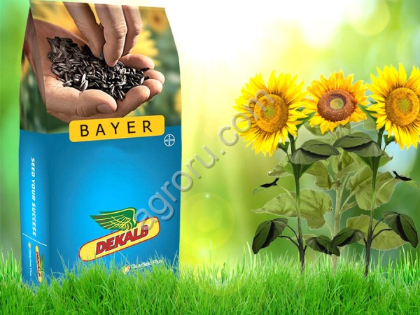 ЕС ХАДСОН СУ Семена гибрида подсолнечника Bayer
