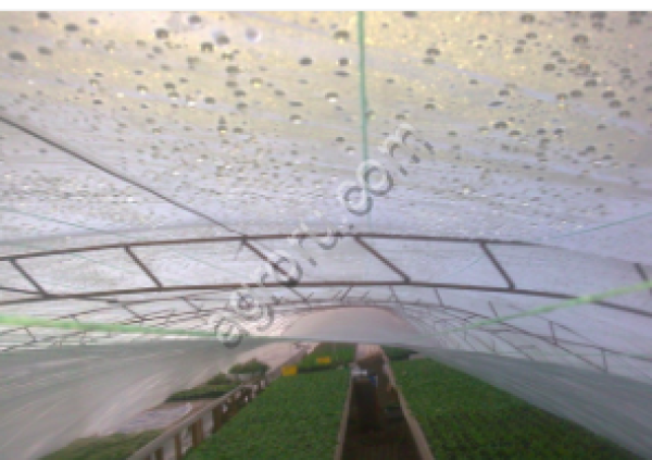 Пленка для теплиц Светлица