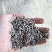 ЖМЫХ ПОДСОЛНЕЧНЫЙ