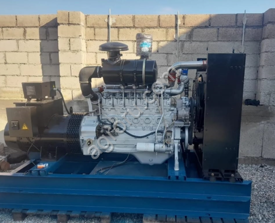 Генератор дизельный Engga EG225L-100N