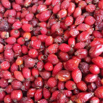 Шиповник сушеный