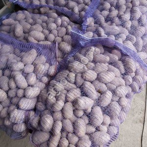 семенной картофель