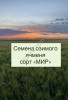 Семена ячменя  Маруся, Ерёма, Виват