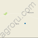 Сдаются сельхозземли в Новоузенском районе Саратовской обл.