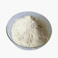 Казеин пищевой сычужный молотый 90%