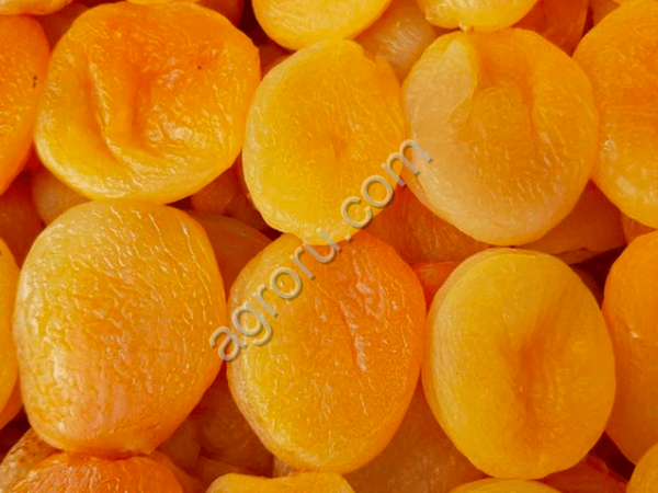 Курага кайса Джамбо