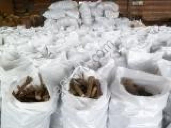 Семена хрена (Катран Аккорд) очень ядреный