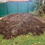 Коровий навоз