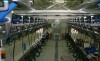 Доильный зал тип Елочка 2х12 с системой управления стадом + 200 транспондеров (индивидуальный учет