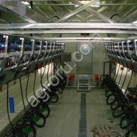 Доильный зал тип Елочка 2х12 с системой управления стадом + 200 транспондеров (индивидуальный учет