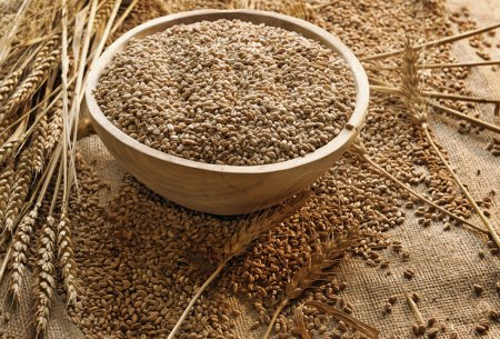 Украина с начала 2009/2010 МГ экспортировала 10,4 млн. тонн зерна