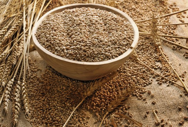 Украина с начала 2009/2010 МГ экспортировала 10,4 млн. тонн зерна