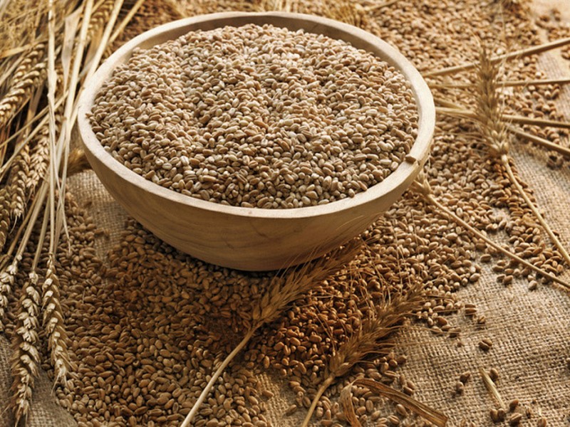 Украина с начала 2009/2010 МГ экспортировала 10,4 млн. тонн зерна