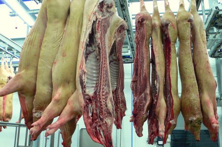 Мясное скотоводство - приоритет в АПК Мордовии