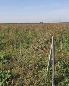 Столб шпалерный оцинкованный якорный(концевой)