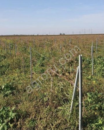 Столб шпалерный оцинкованный якорный(концевой)