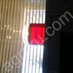 Мёд горный цветочный, Дягель