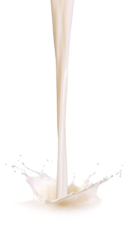 «Бунге Украина» вышла на рынок майонезов