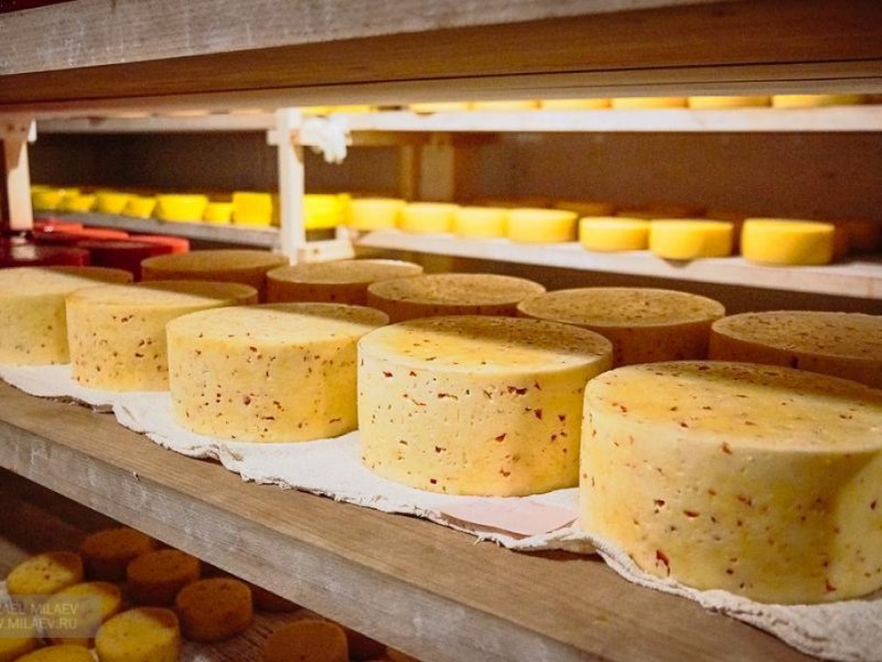 Краткий обзор рынка молока