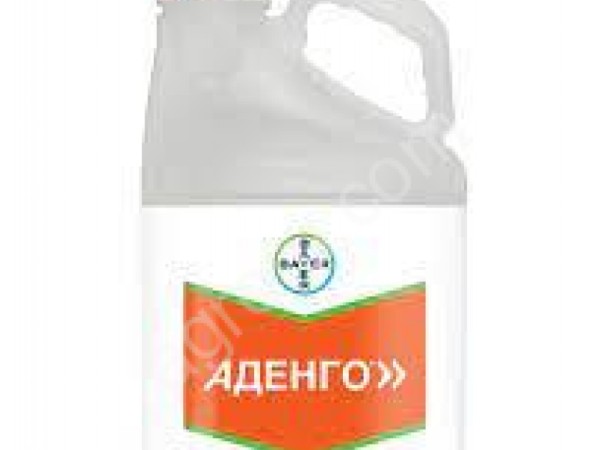 Аденго, КС