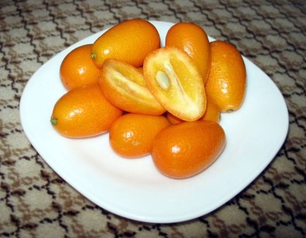 Кумкват