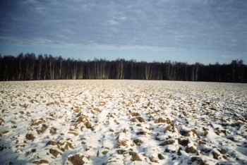 Главное - корни
