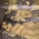 Маслобойка (Маслоизготовитель) от 20л до 3000л от производителя