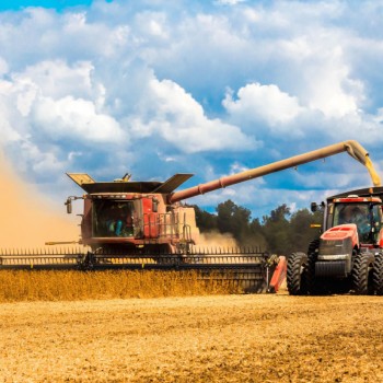 Краткий обзор рынка зерновых