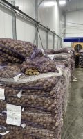 Картофель оптом, от производителя