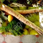 Корень хрена (Катран) очень ядреный