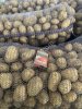 Картофель
